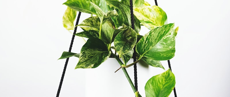 足球转会市场传闻姆巴佩可能加盟皇家马德里